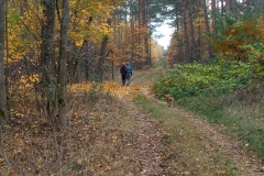 IMG_20241101_150742