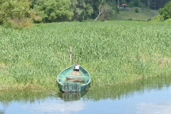 P1070351