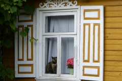 P1020734