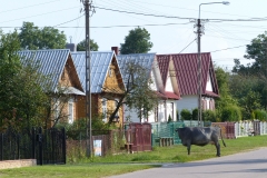 P1030596