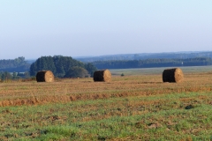 P1030662