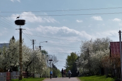 P1070233