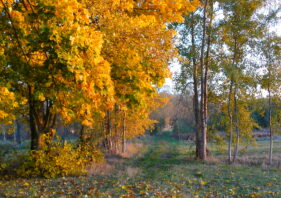 Jesień w Plutyczach